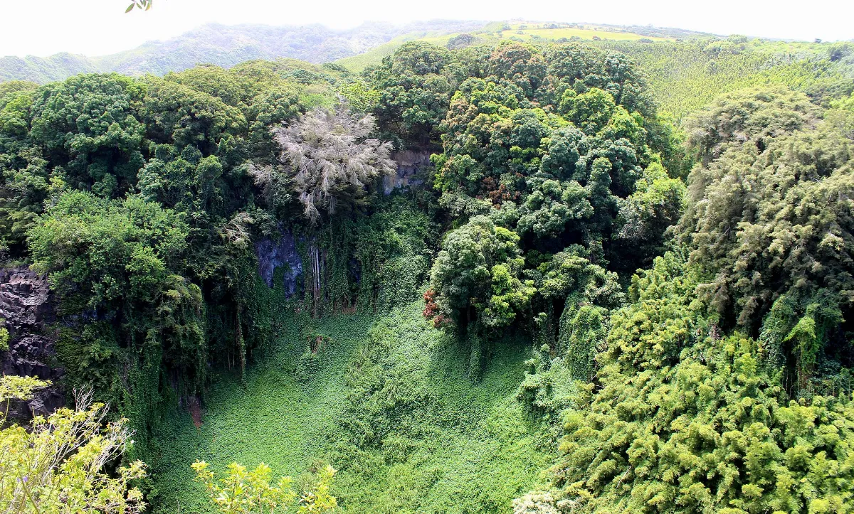 OheO Gulch, Kapahulu near Hana, Maui, Hawaii - panoramio