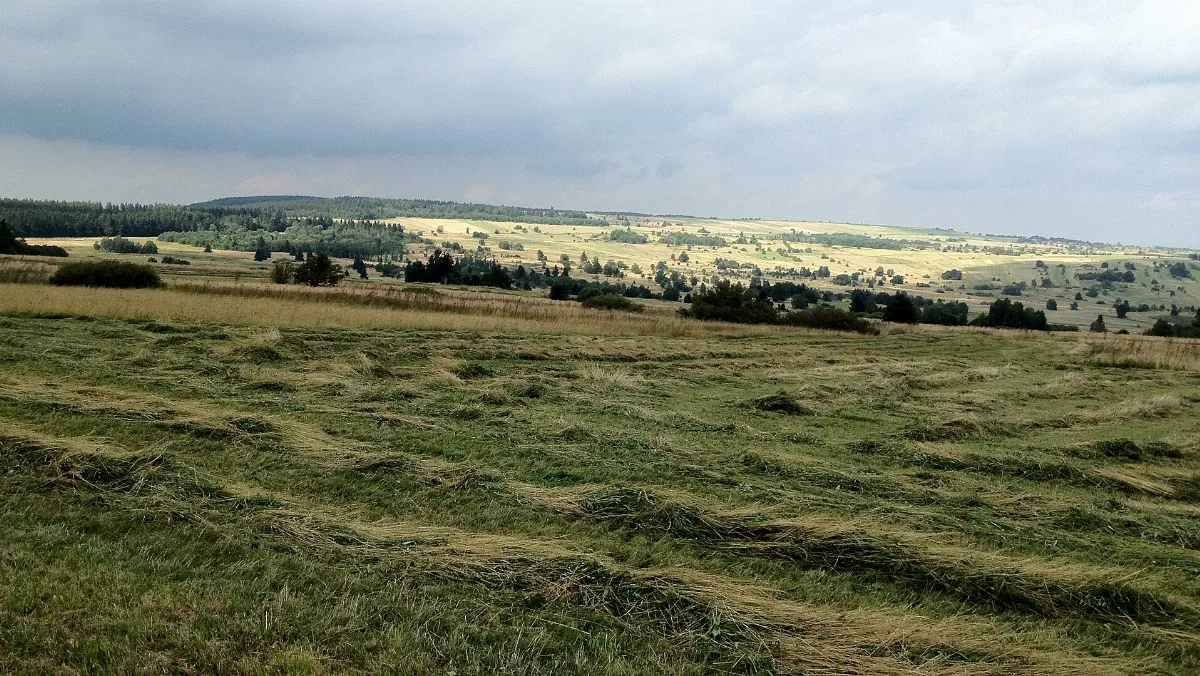 O schöne rauhe Rhön