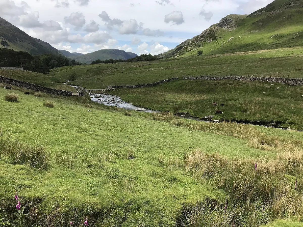 At the western end of The Honister Pass - geograph.org.uk - 6184928