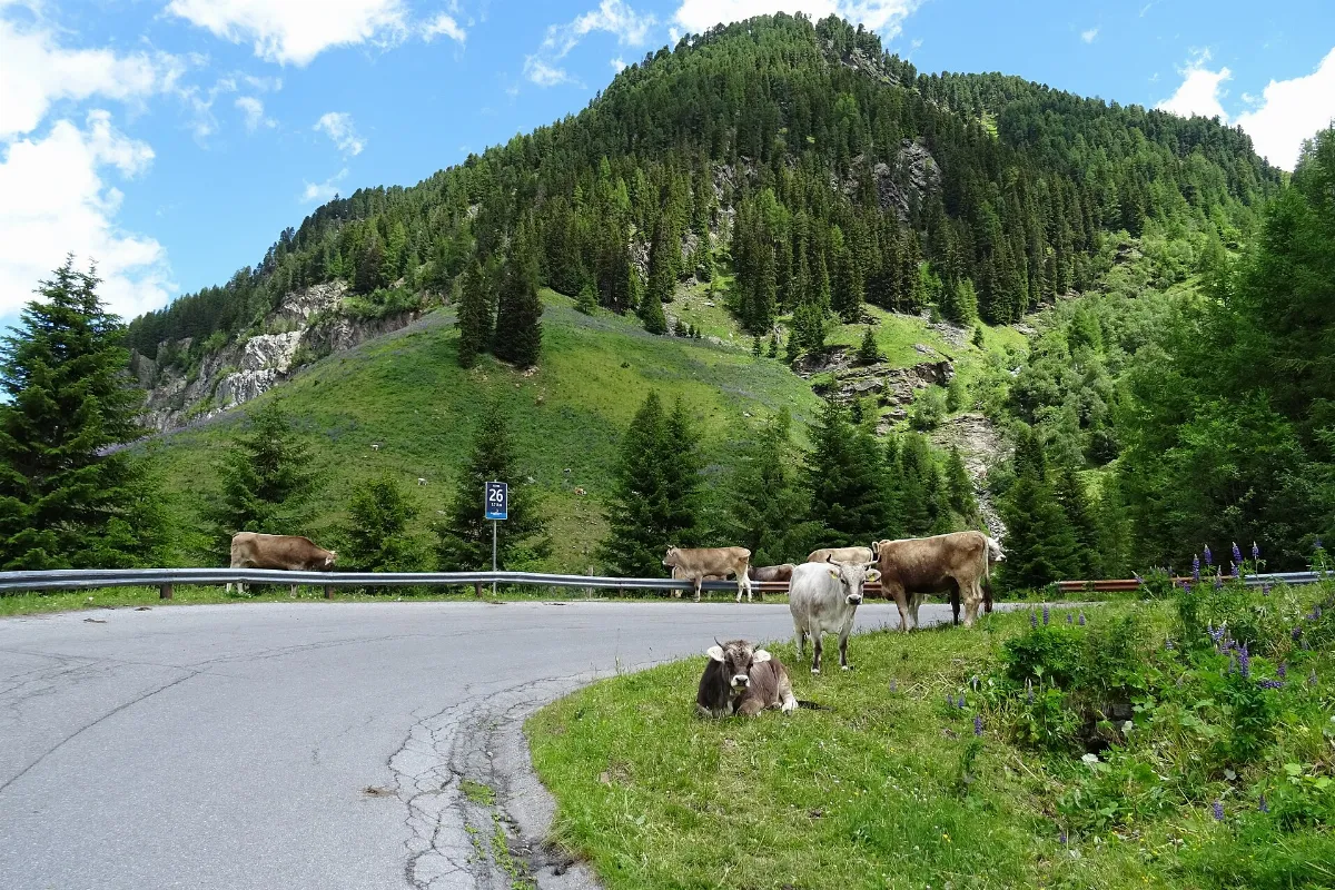 20180622 13 Kaunertal Gletscherstrasse (42146594965)