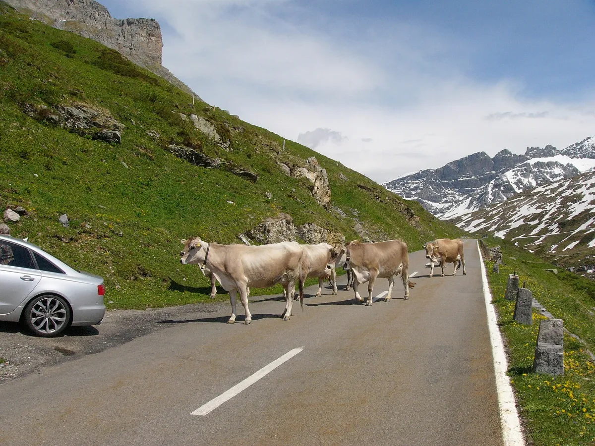 Klausenpass-abfahrt02