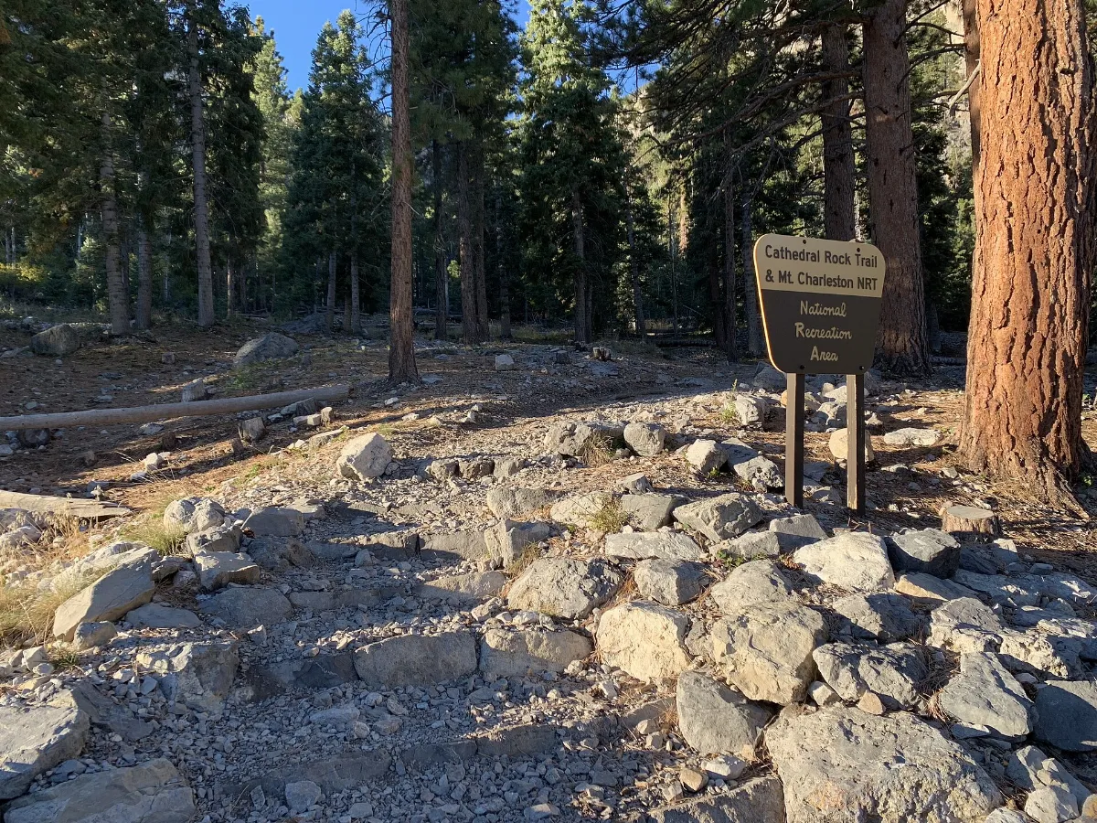 South Loop Trail and Cathedral Rock Trailhead at Cathedral Rock Picnic Area