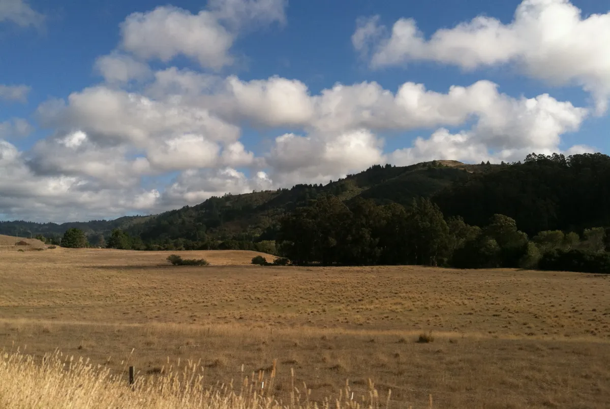 La Honda Road