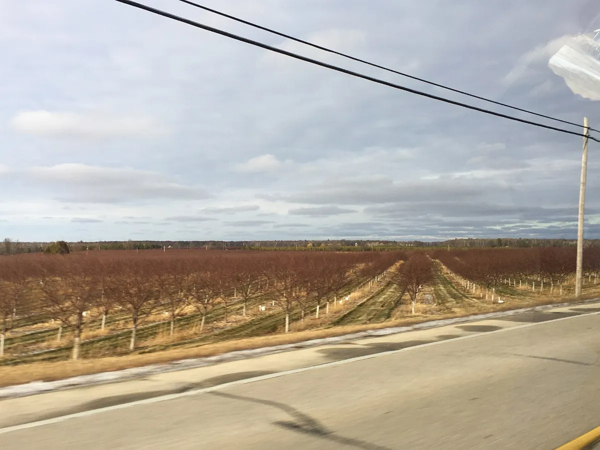 Orchards along WIS 42