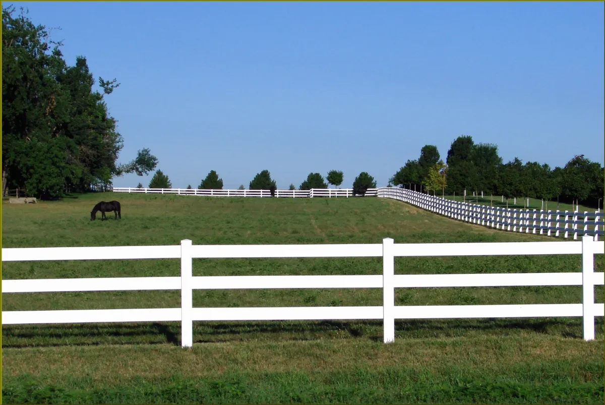 Horse Pasture, Northwest, IA 7-27-13g (11033731534)