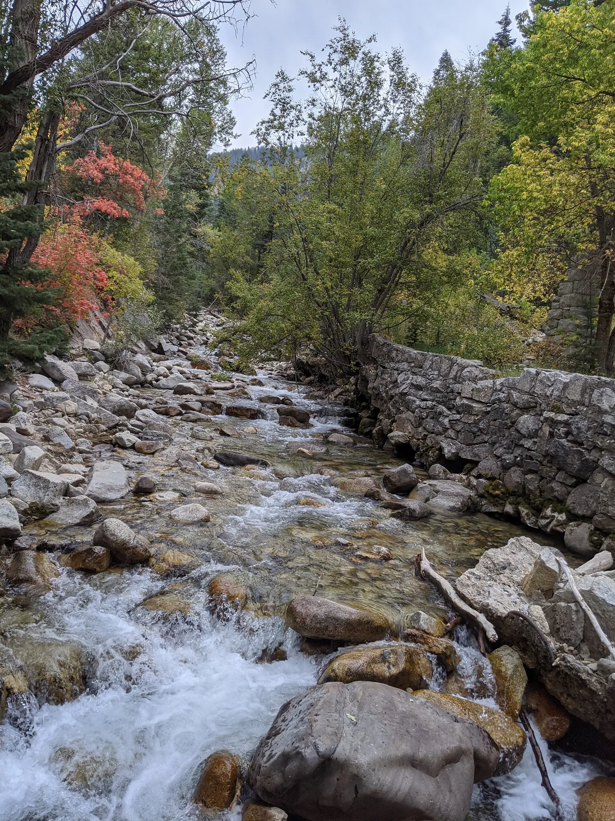 Little Cottonwood Canyon Trail 1