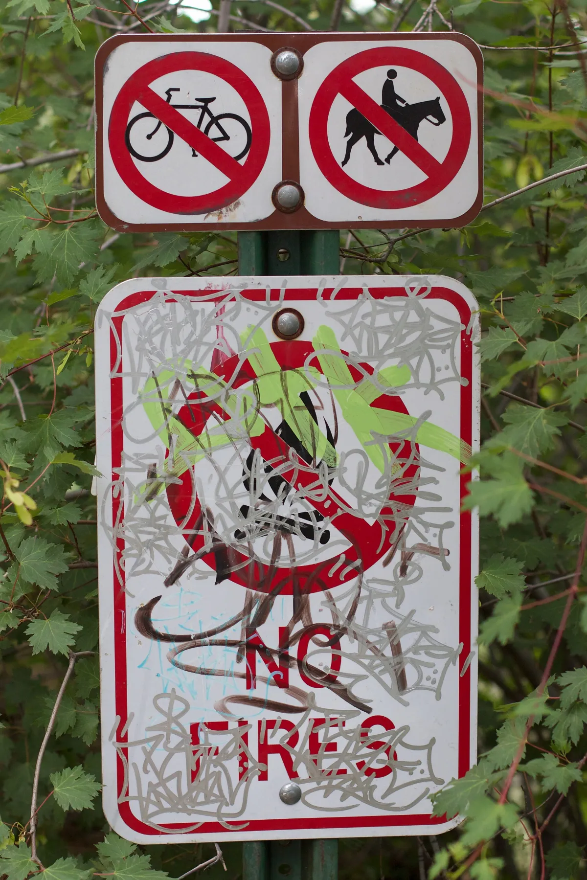 2011-365-183 Just What CAN You Do? (5893320138)