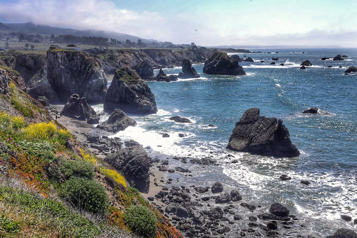Marin Sonoma Coast