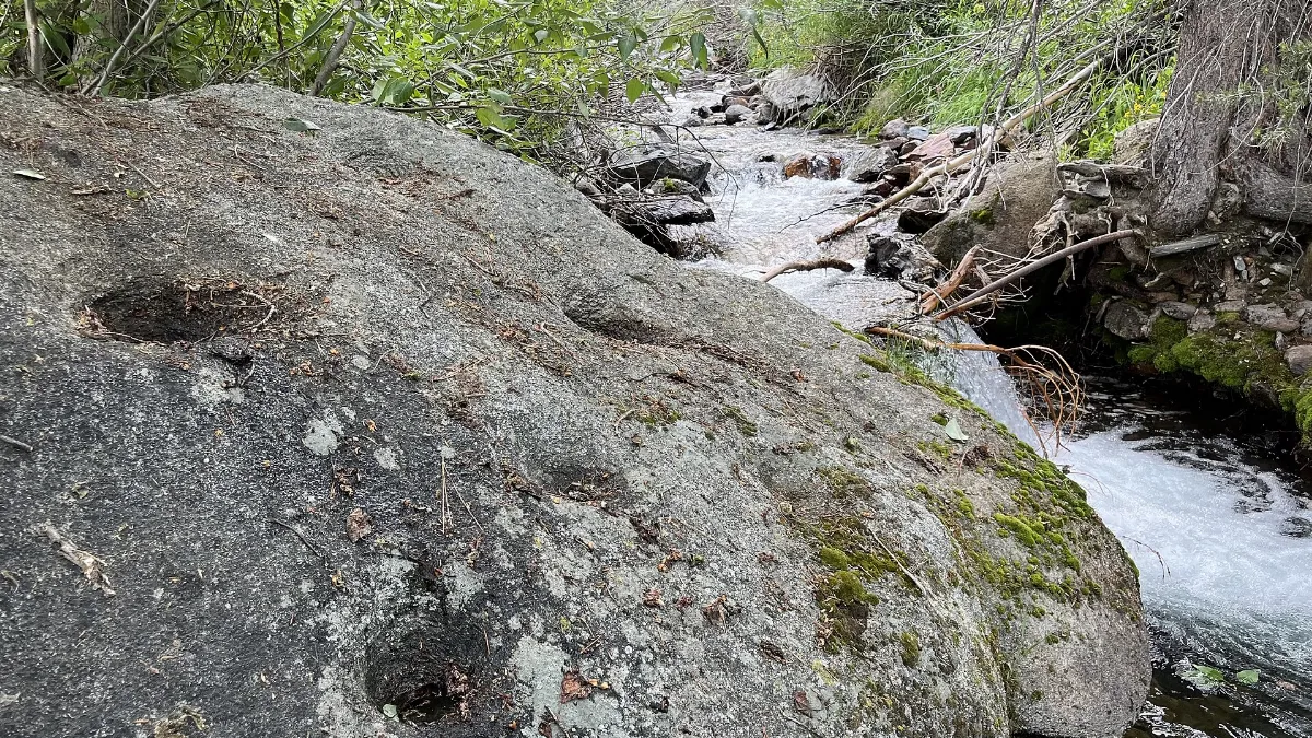 Bedrock Mortar in Mineral King