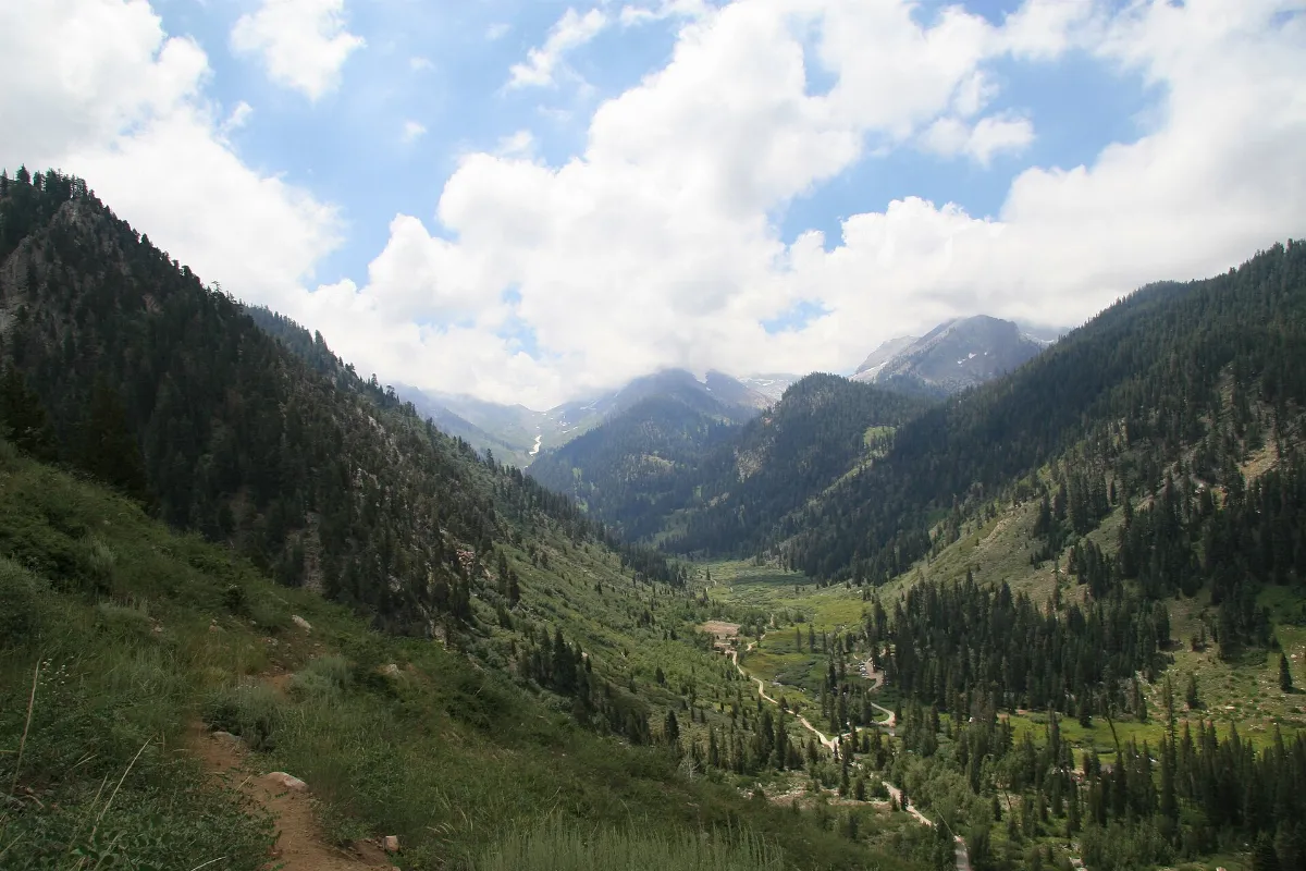 Mineral King Road