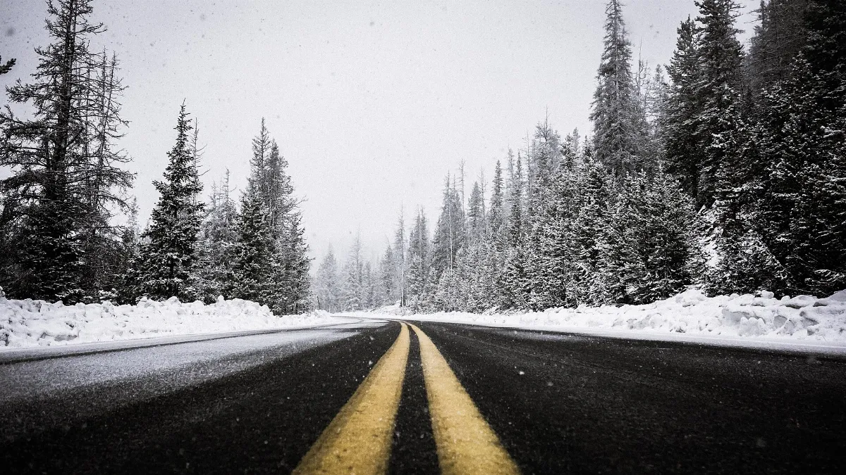 Road in snowy forest (Unsplash)