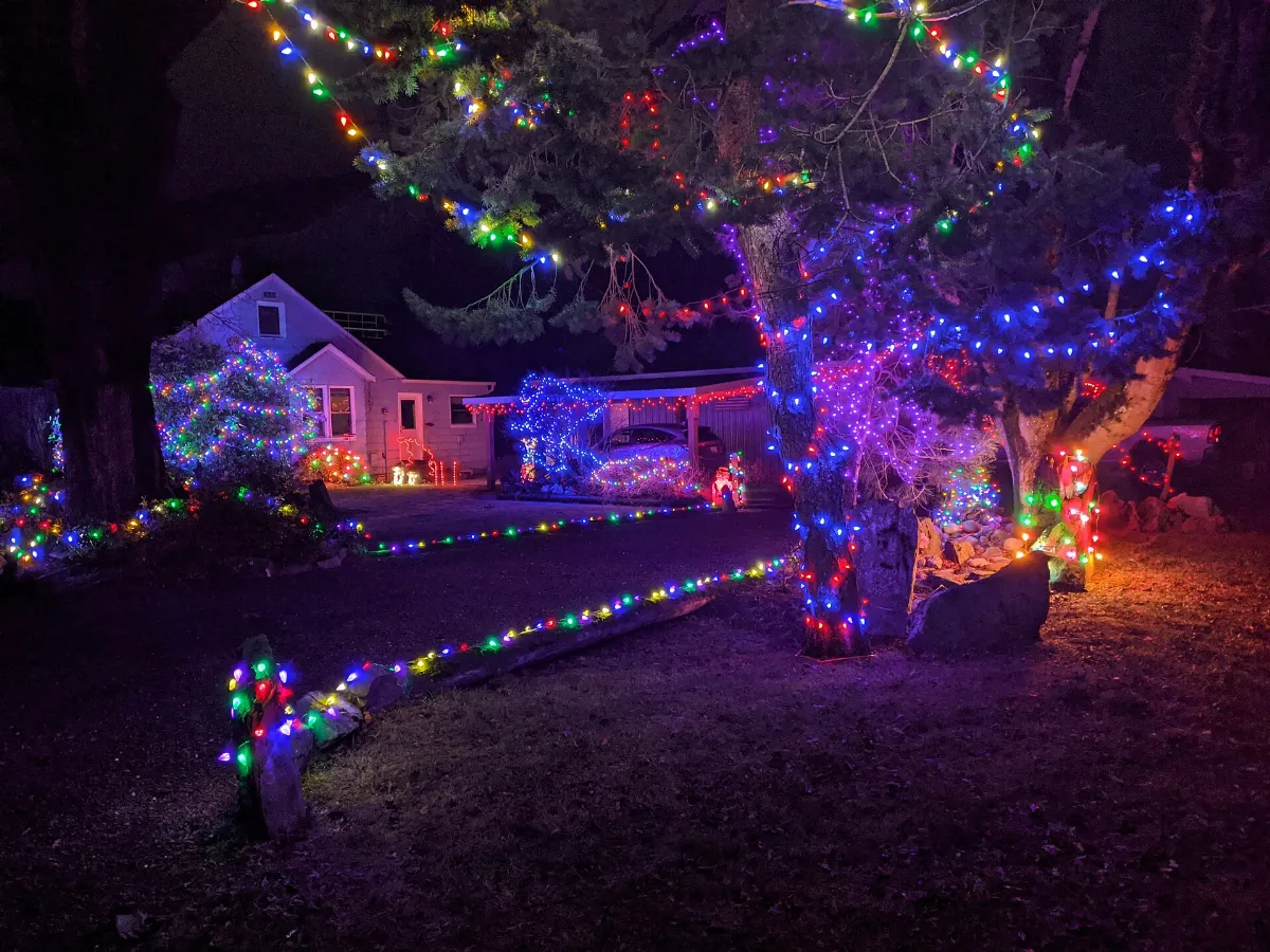 More holiday lights (50707832256)