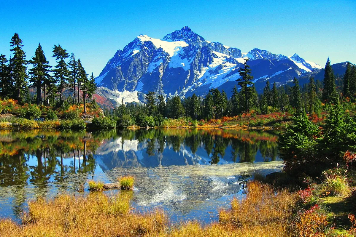 Mount Baker Highway