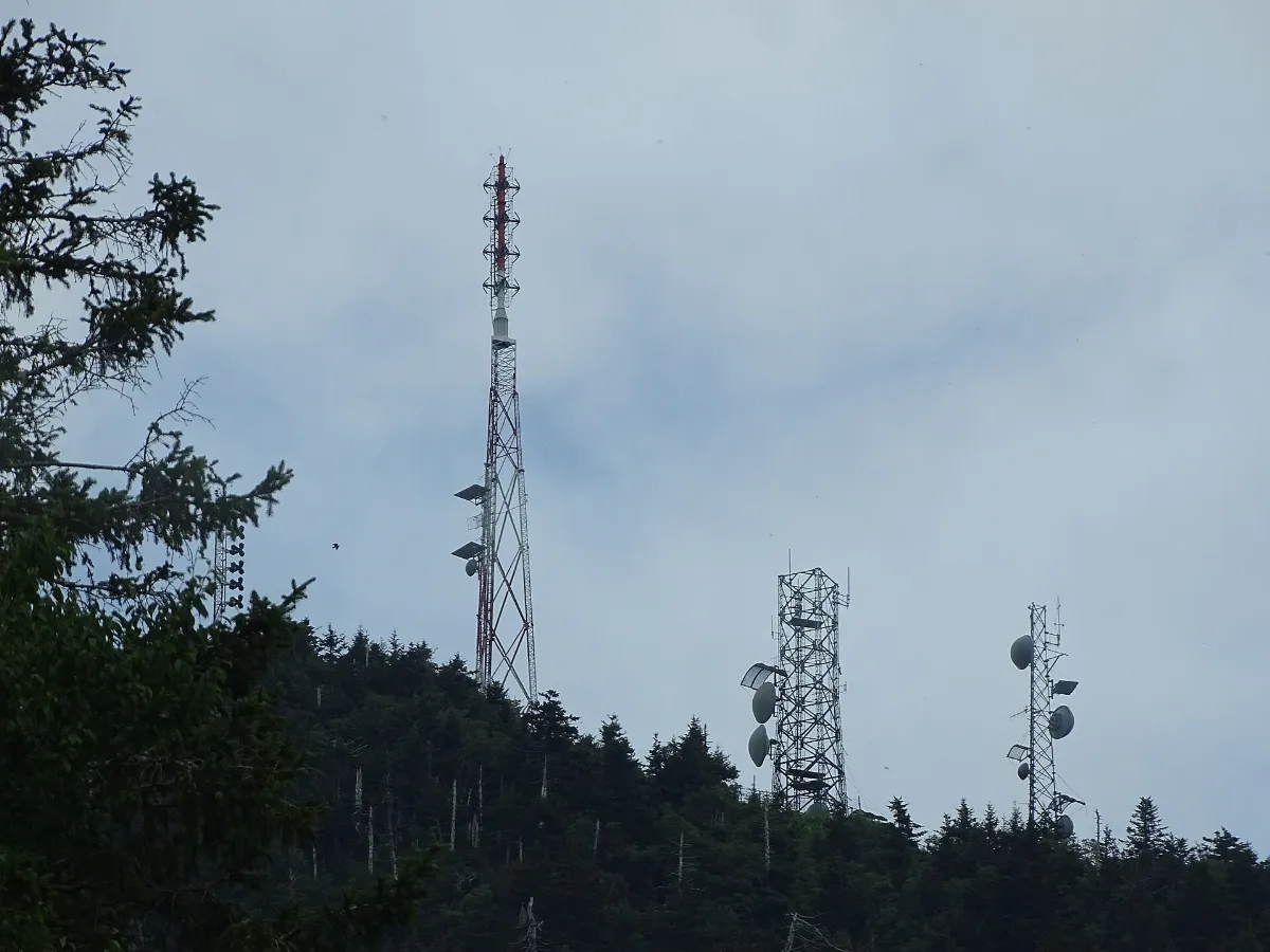 2019 08 06 mt-mitchell 00d (48491693267)