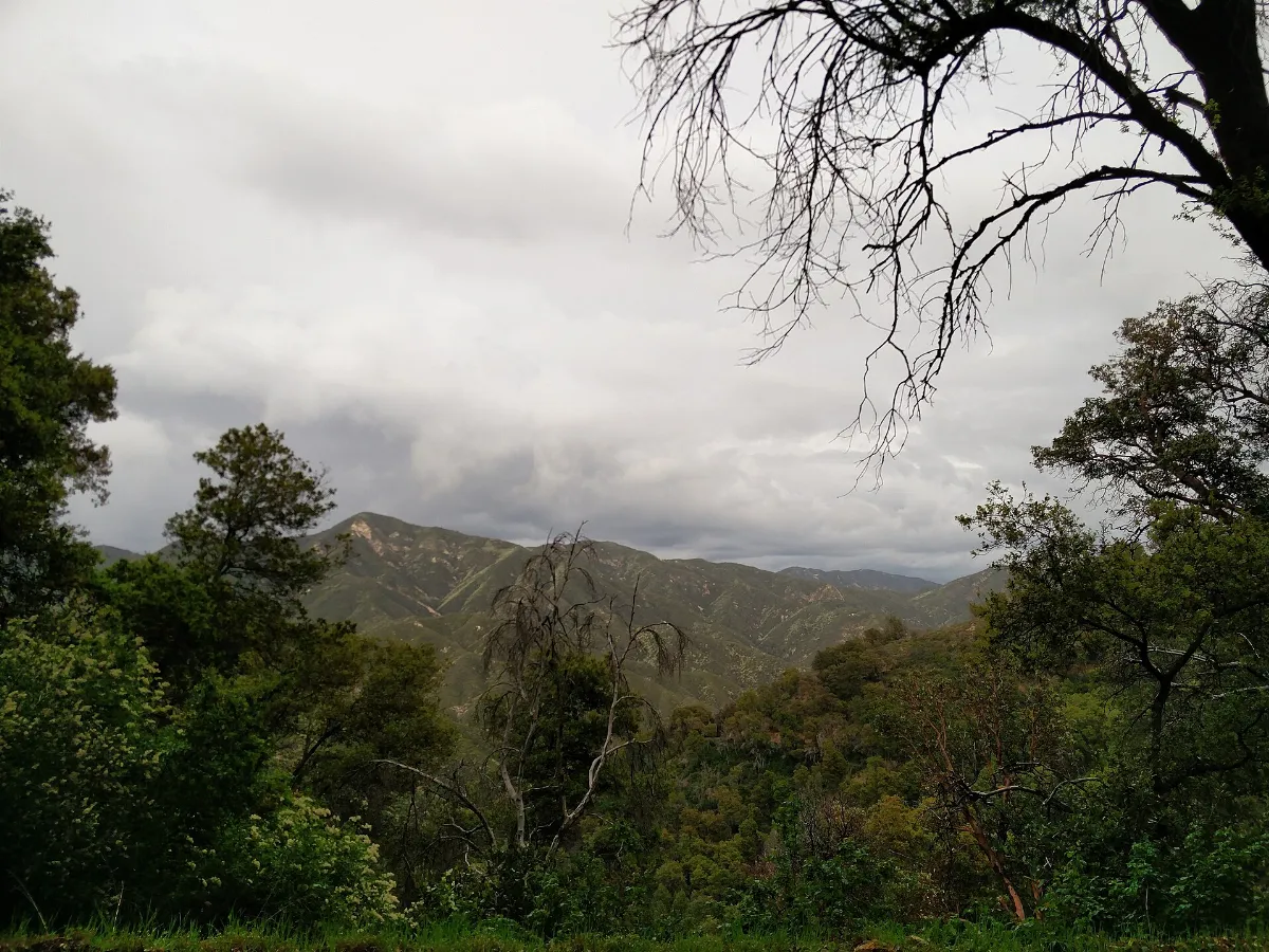 Salinas, CA, USA - panoramio (46)