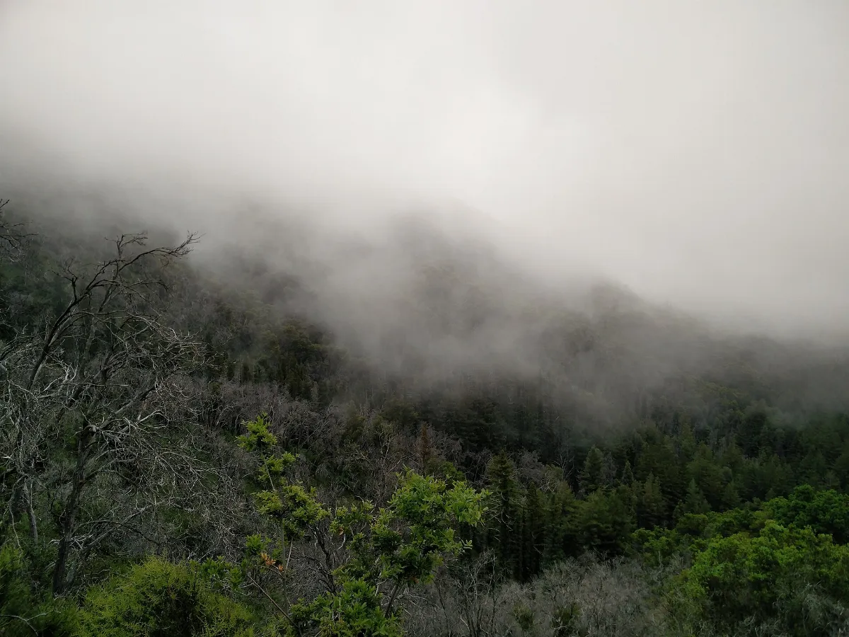 Salinas, CA, USA - panoramio (49)