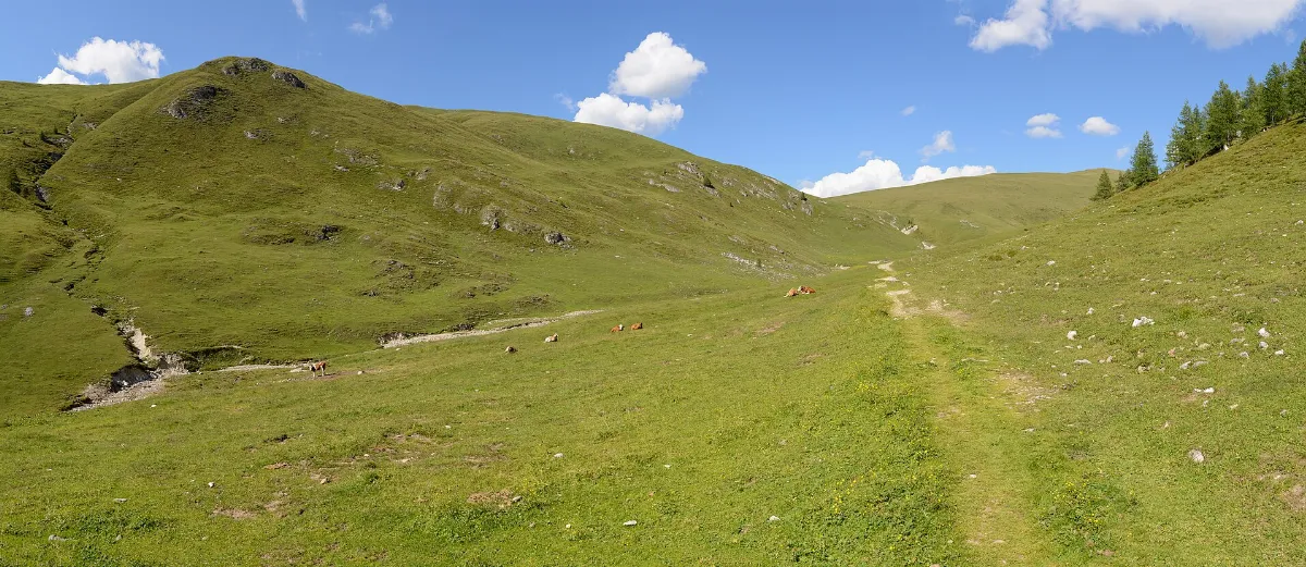 Nockberge Zechneralm 01