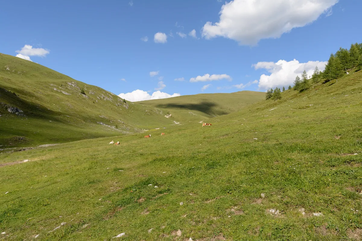 Nockberge Zechneralm 02