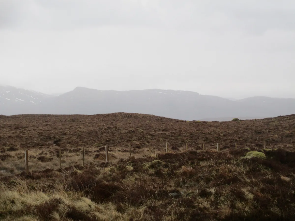 Bleak moorland by the A832 - geograph.org.uk - 4380366