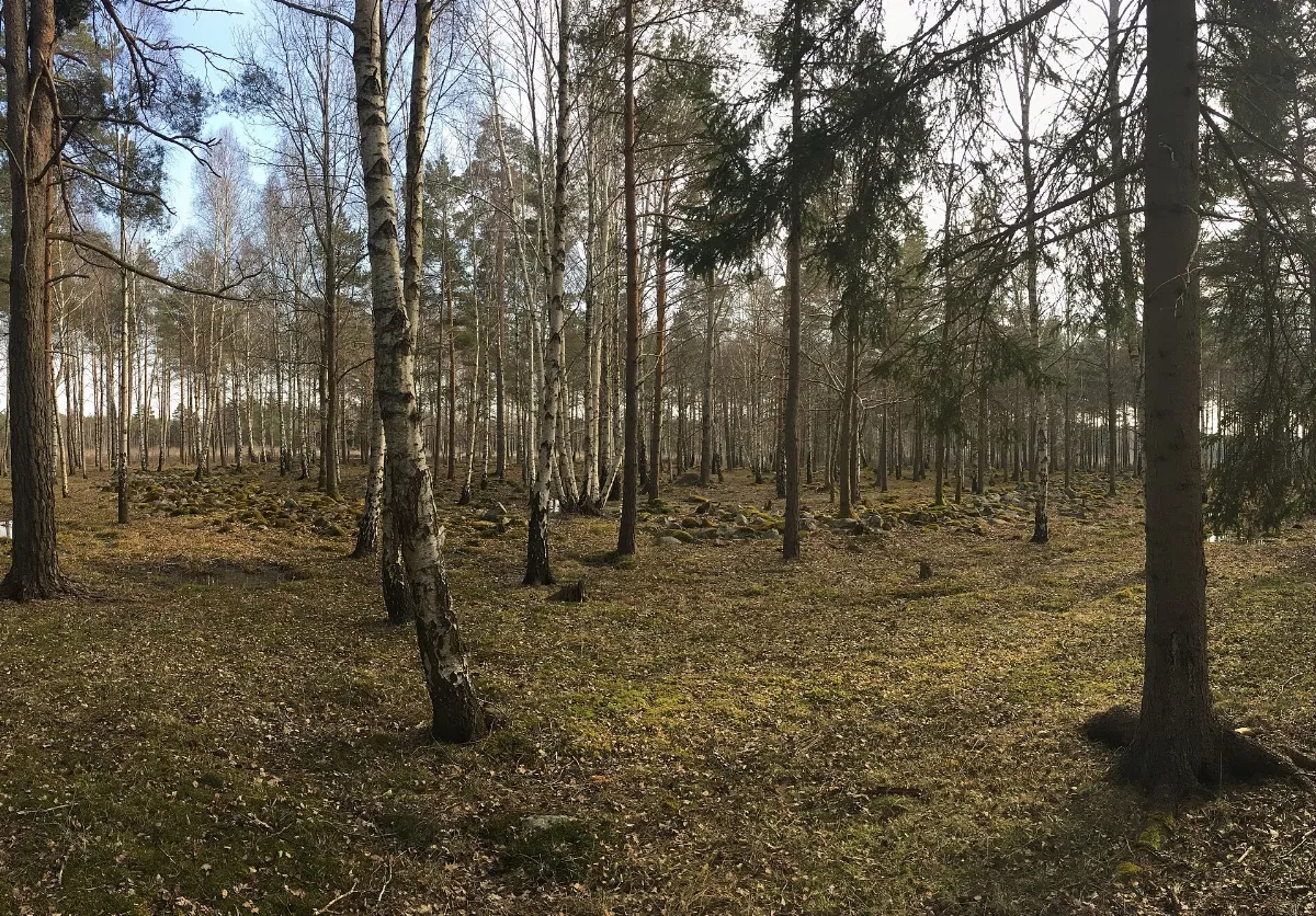 Fornborg RAÄ-nr Bro 10 1 L1977 147 Gotland Från S