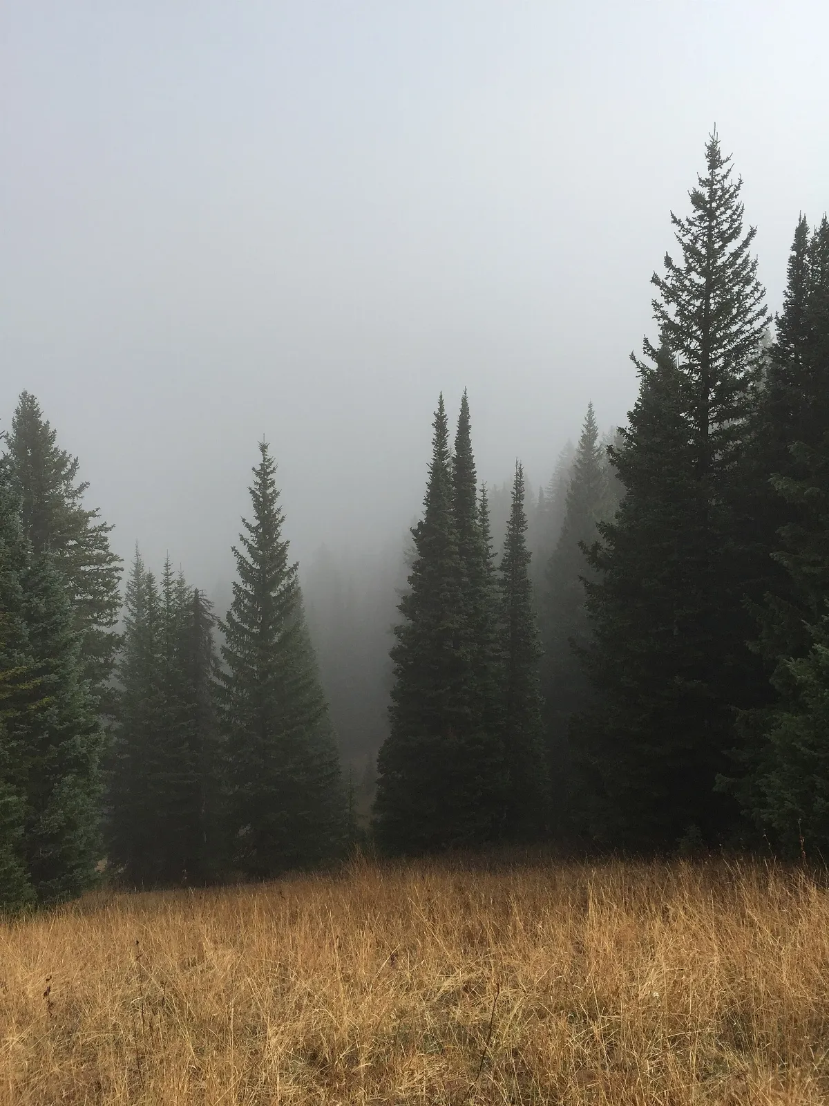 Bradley Swenson 2016 (Unsplash)
