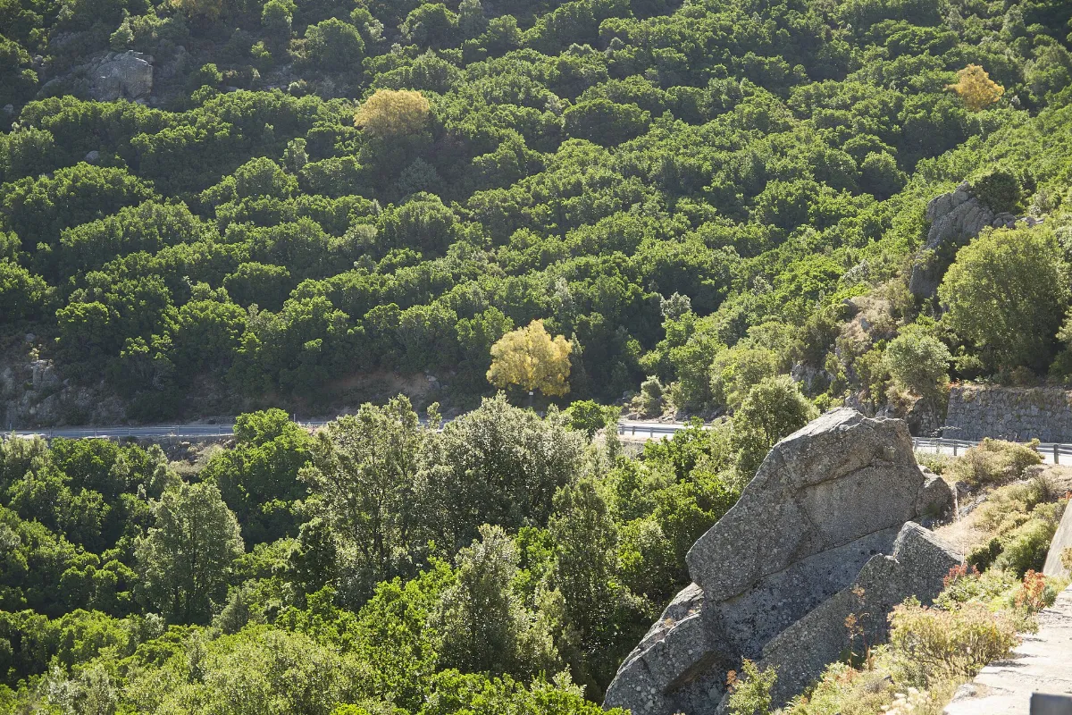 The Orientale Sarda Road SS 125 - panoramio (1)
