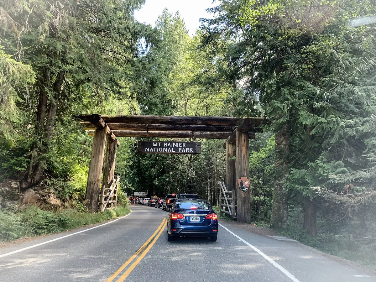 Paradise Road - Mount Rainier