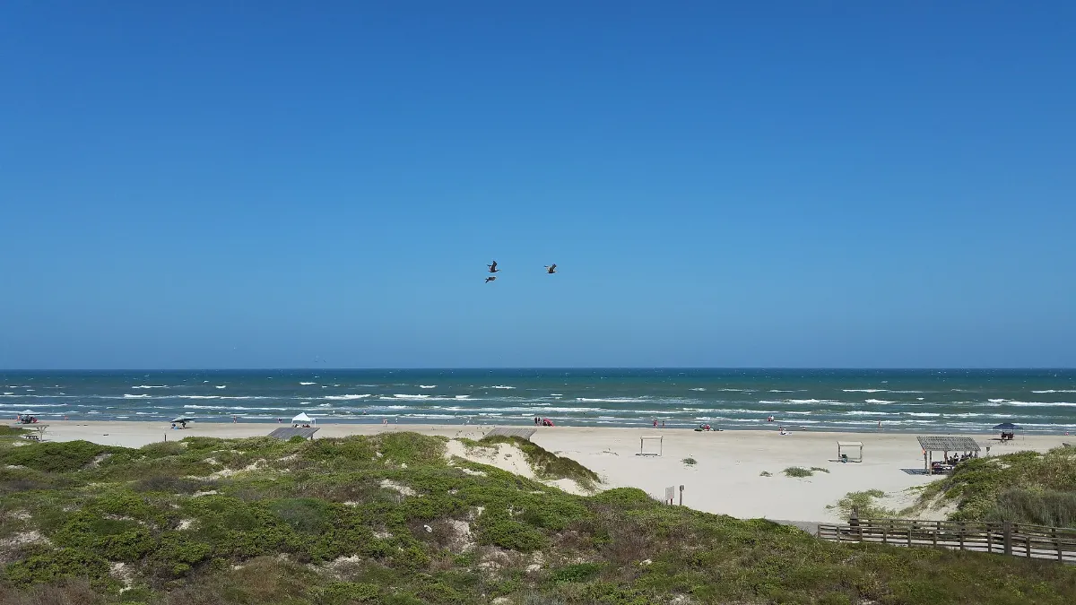 Kleberg County, TX, USA - panoramio (1)