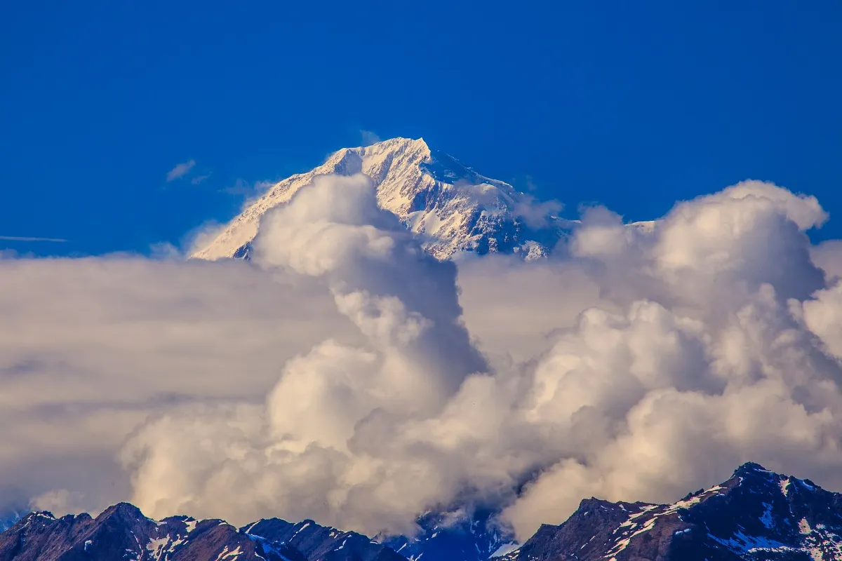 Hwy 3 - Fairbanks to Mt McKinley (5856984845)