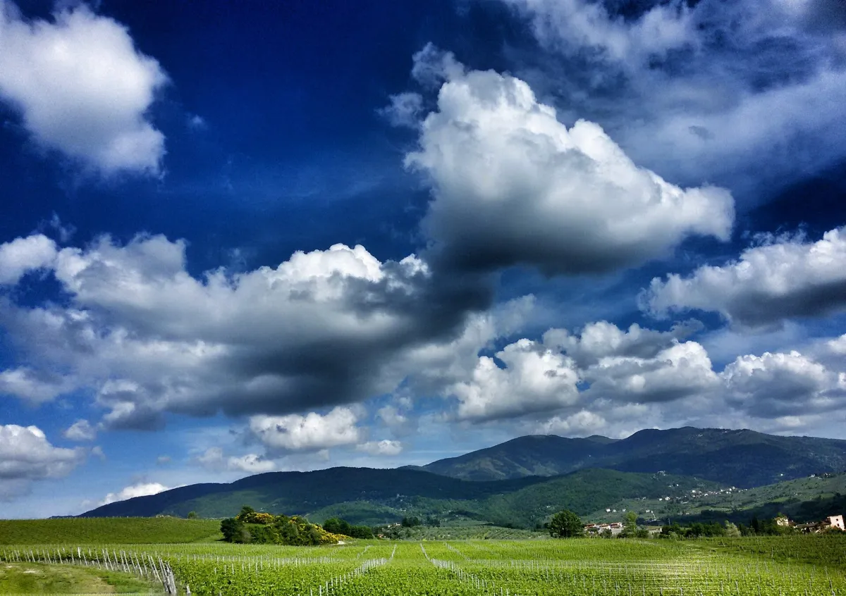 Nubi sul vigneto
