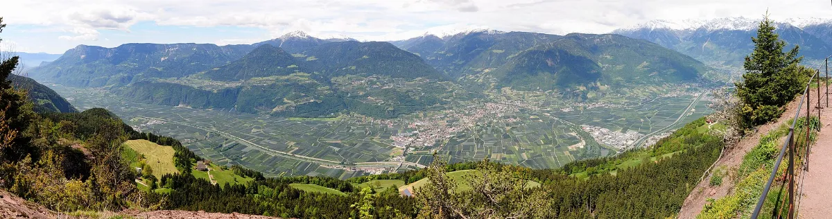PanoKnottnKino