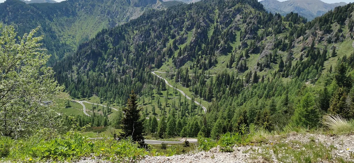 ITA — Trentino-Alto Adige — Provincia autonoma di Trento — Val di Fiemme (Passo Manghen) Mattes 2023-06-17