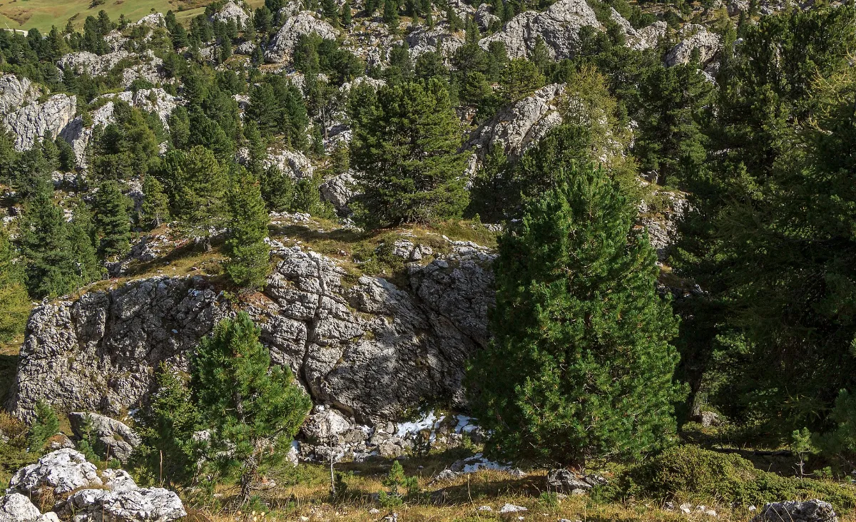Passo Sella - Città dei Sassi - 11