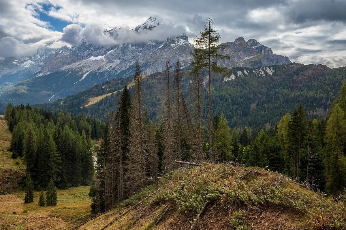 Passo Staulanza