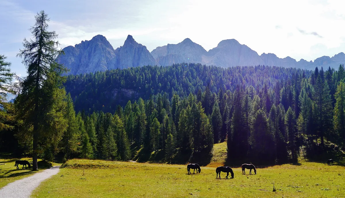 Veneto Passo Tre Croci 14