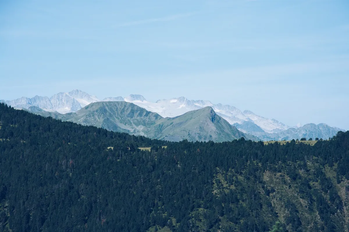 Woods and mountains (Unsplash)