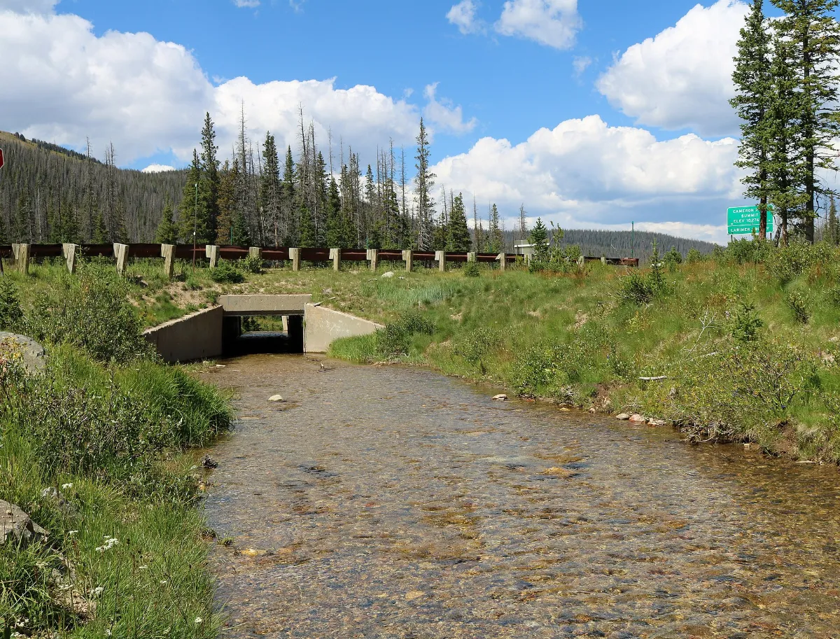 Michigan Ditch at Cameron Pass