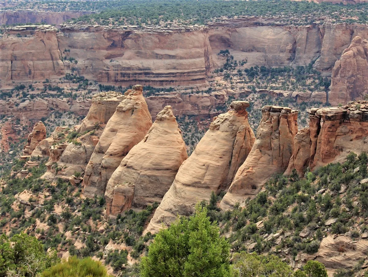 Coke Ovens from north view