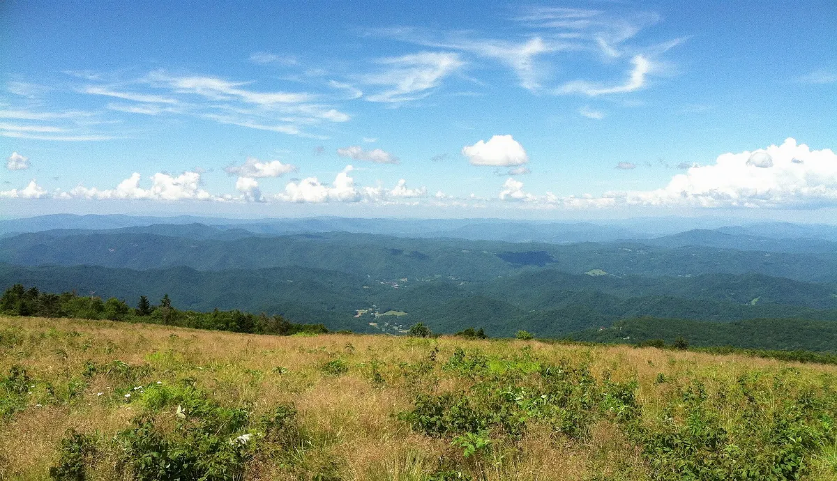 Roan Mountain