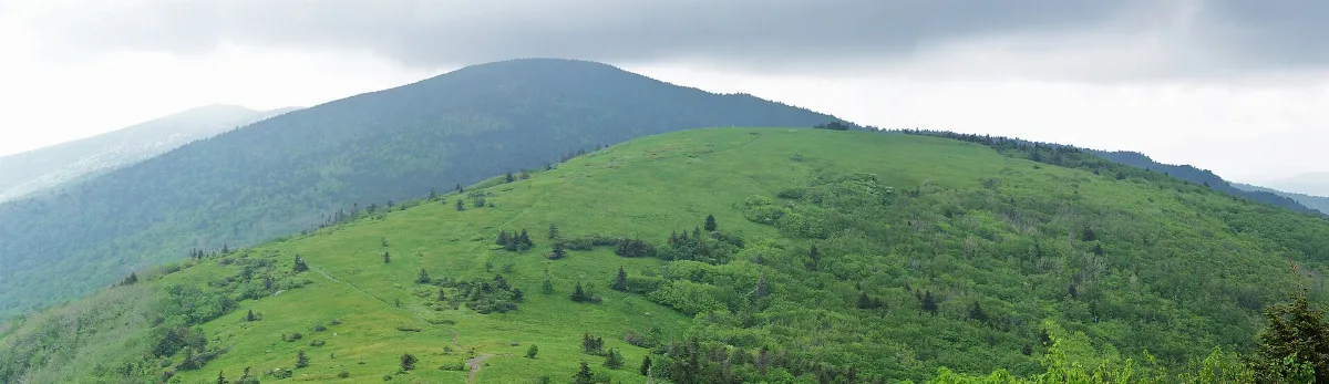 Round bald - panoramio
