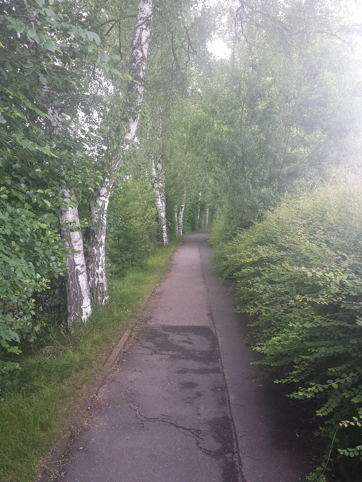 Romantische Straße Weitwanderweg bei Bad Mergentheim Weg