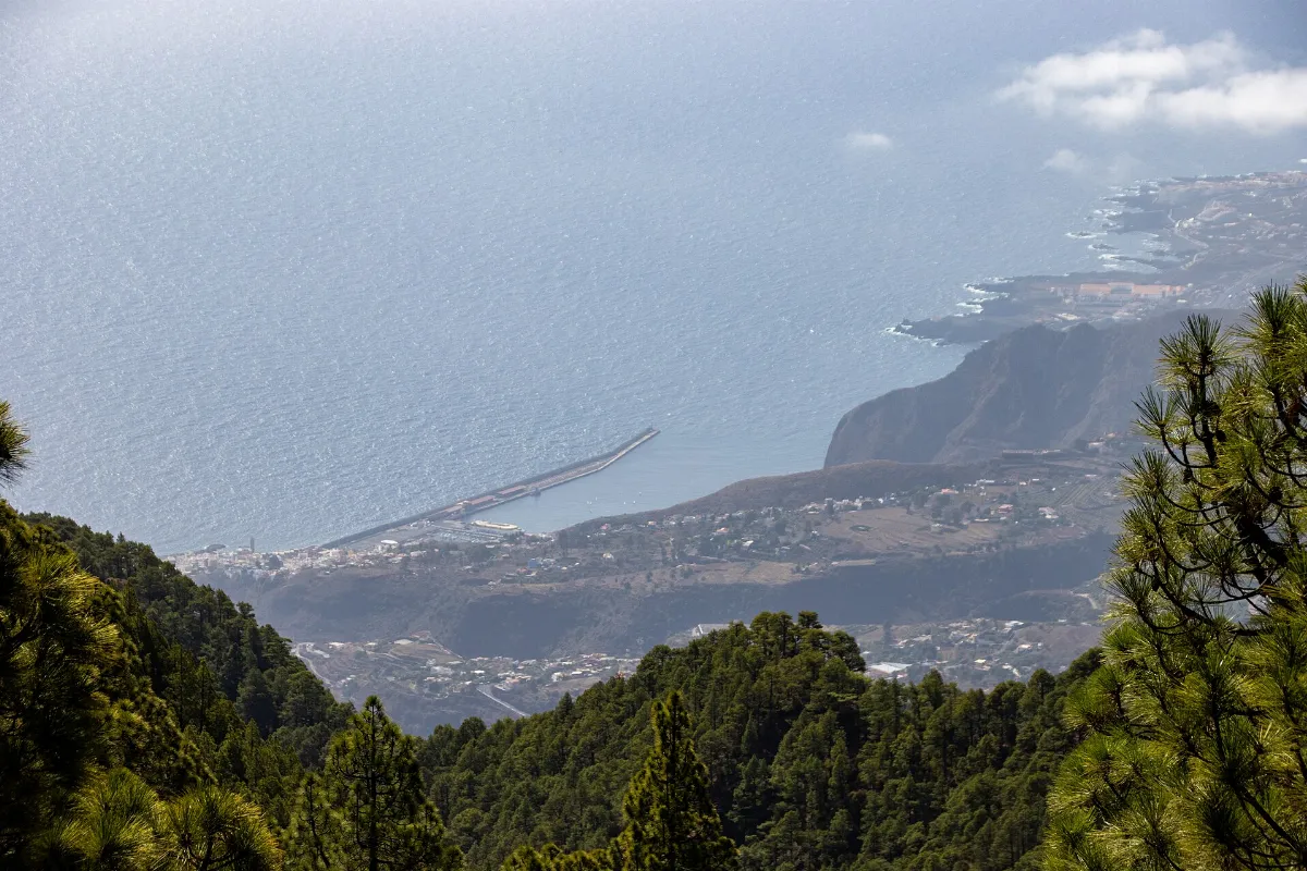 At La Palma 2020 344