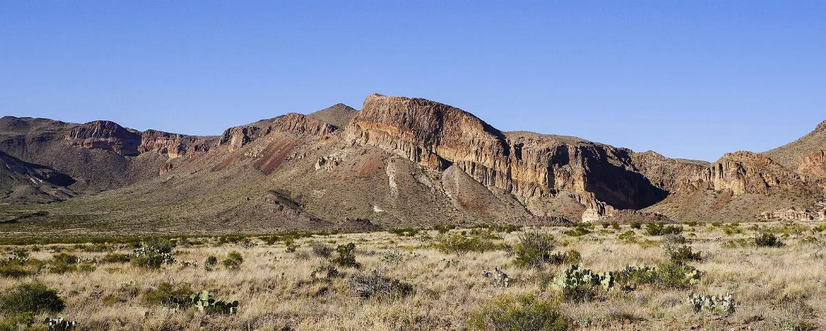 Big Bend Landscape