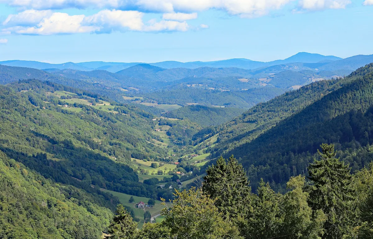 00 2222 Col des Bagenelles - Lièpvrette-Tal, Frankreich