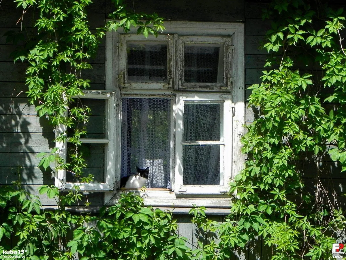 Zamość, Spadek 39 - fotopolska.eu (342685)