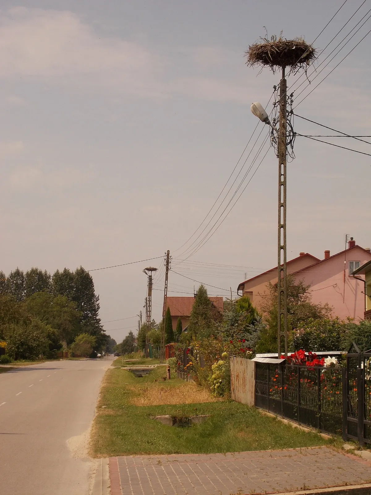 Bocianie gniazdo Wola Obszańska 01