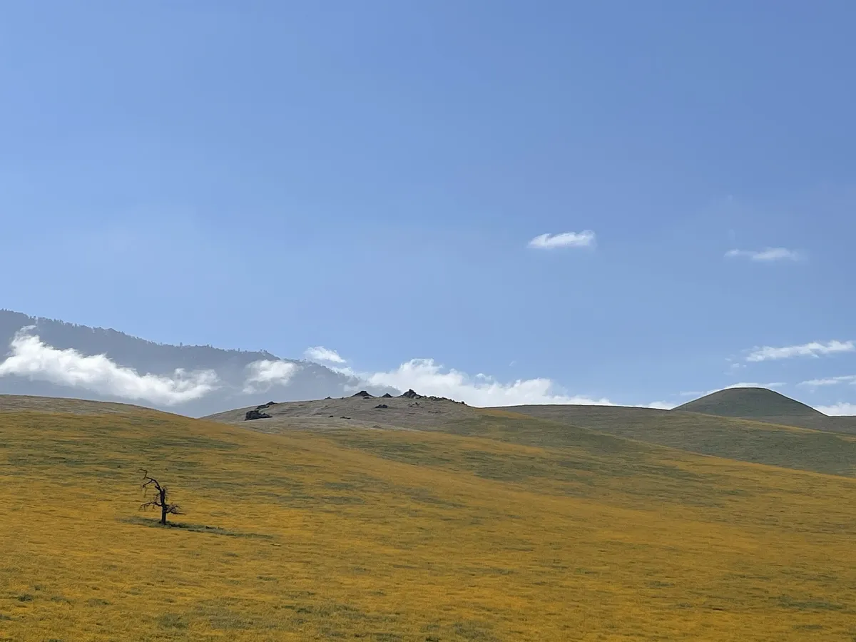 Kern County - March 2022 - Sarah Stierch 03