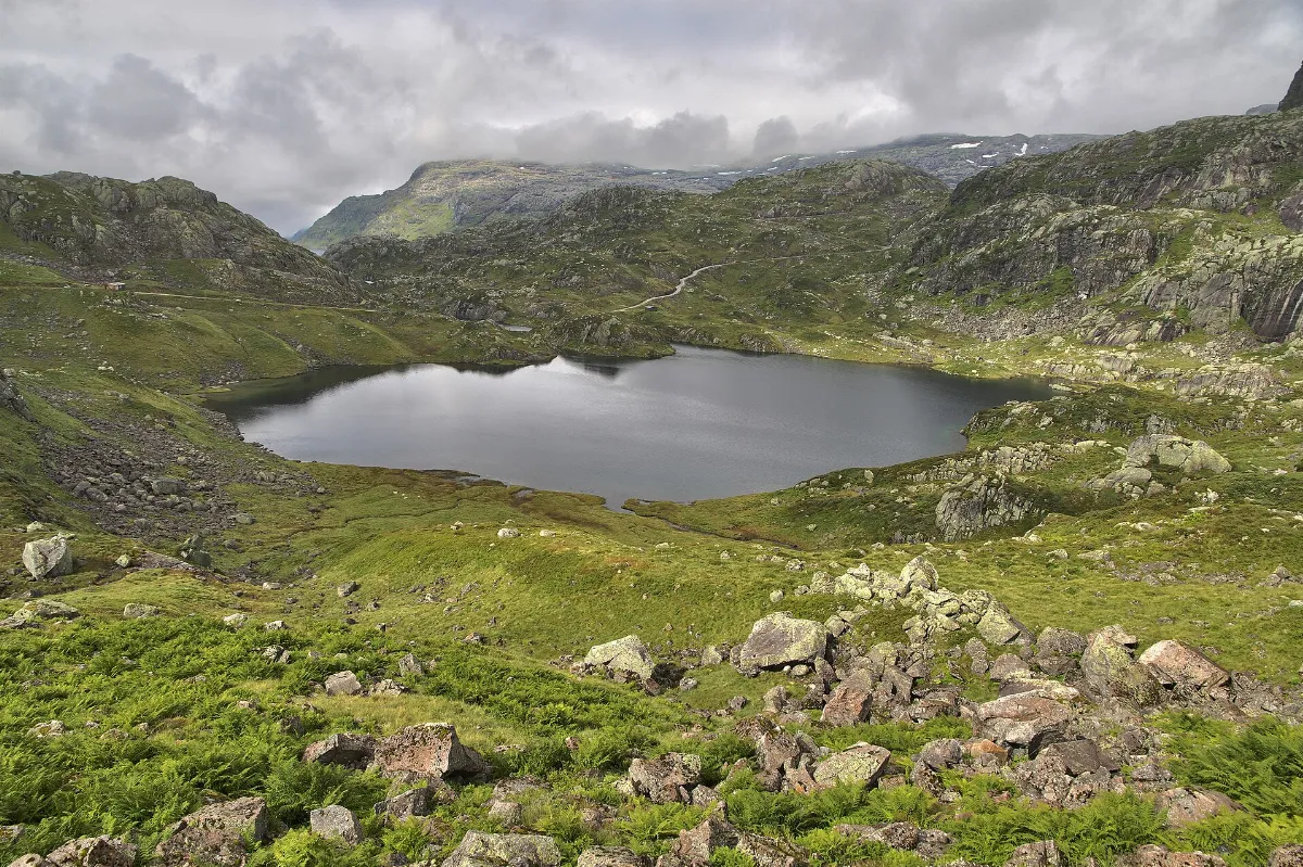 Kringletjørn, 2011 August