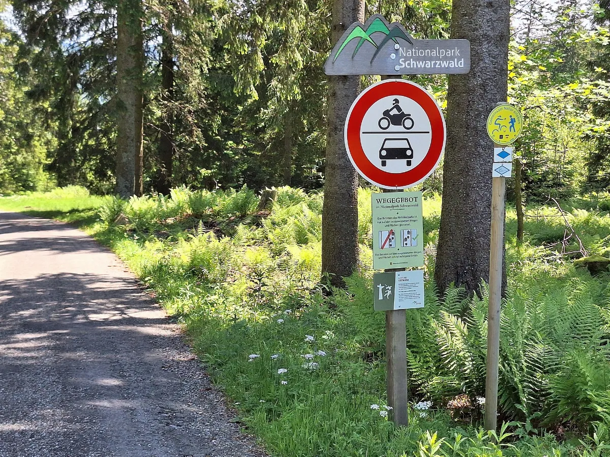 Wanderweg - Soldatengrab - Schliffkopf - Schwarzwaldhochstraße (Bundesstraße 500)