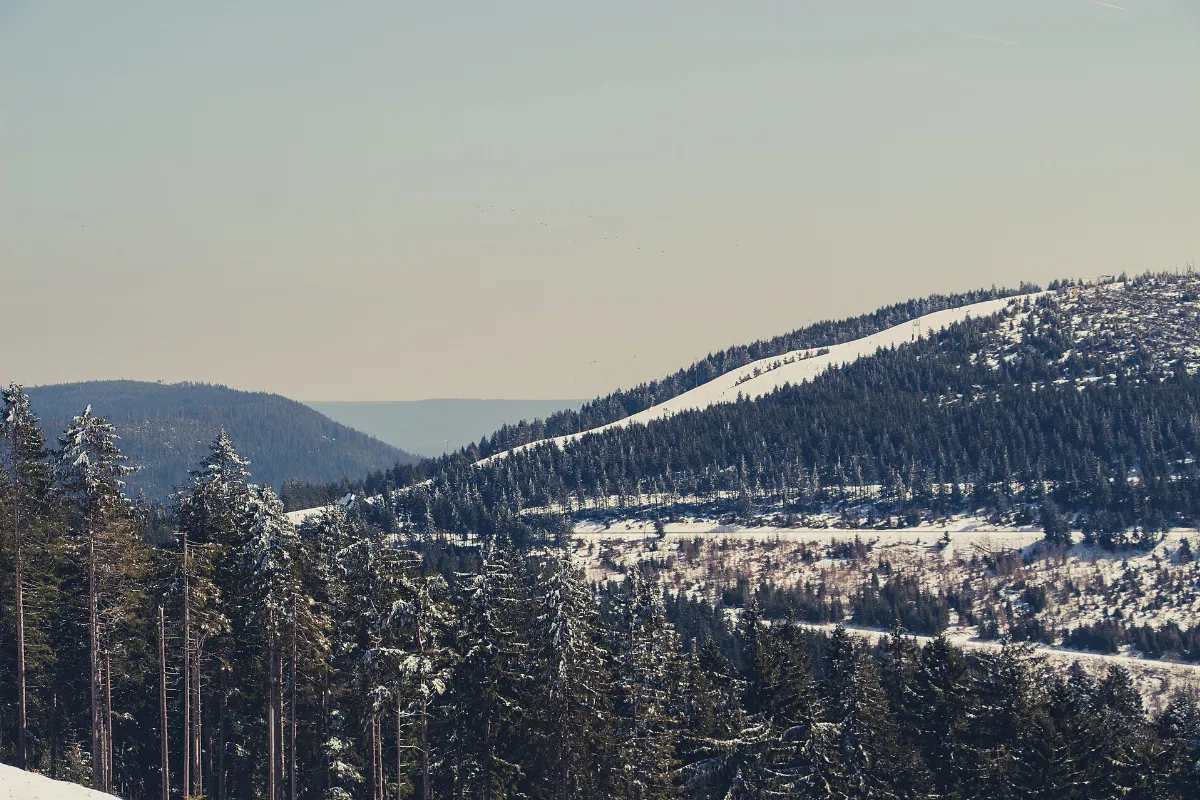 Seibelseckle mit Schnee
